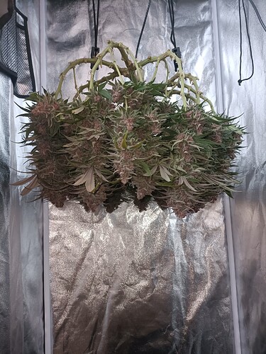 Growreport Bild 14