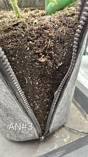 Growreport Bild 20