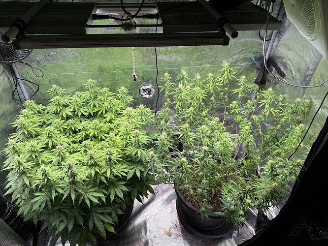Growreport Bild 16