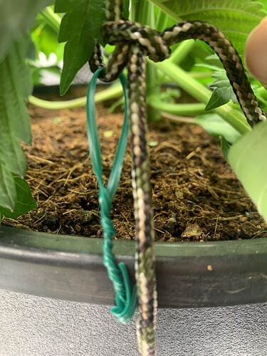 Growreport Bild 3