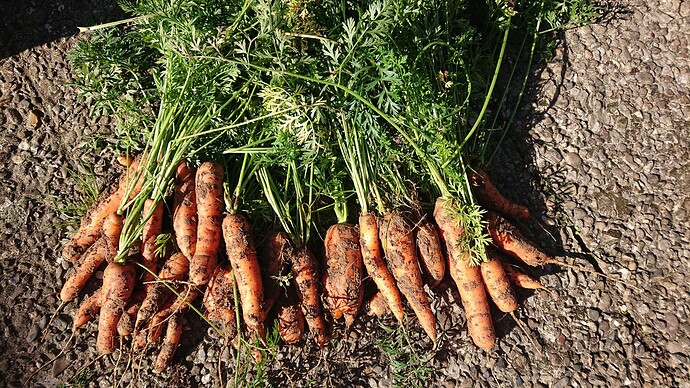 Growreport Bild 5