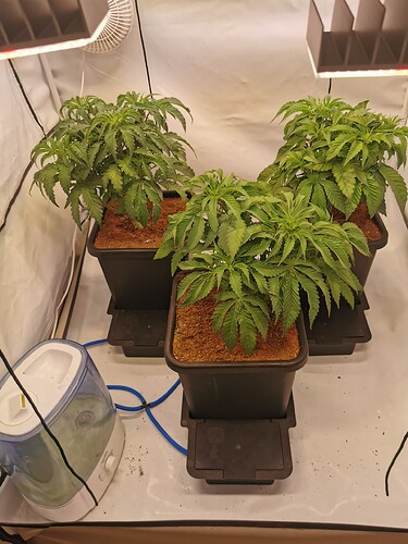 Growreport Bild 2