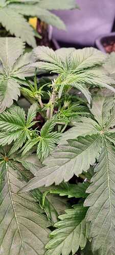 WhatsApp Image 2025-12-08 at 18.13.07 (1)