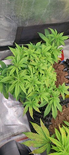 IMG_20251023_105655452_HDR