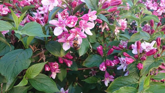 Growreport Bild 10