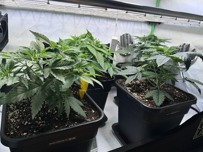 Growreport Bild 17