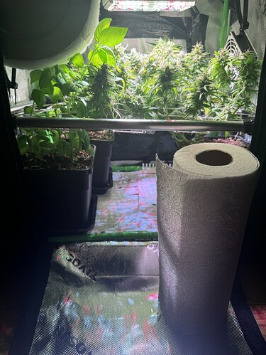 Growreport Bild 4