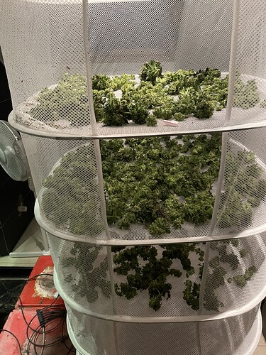 Growreport Bild 18