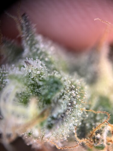Growreport Bild 14