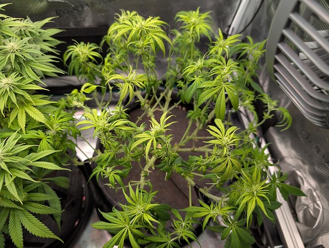 Growreport Bild 11