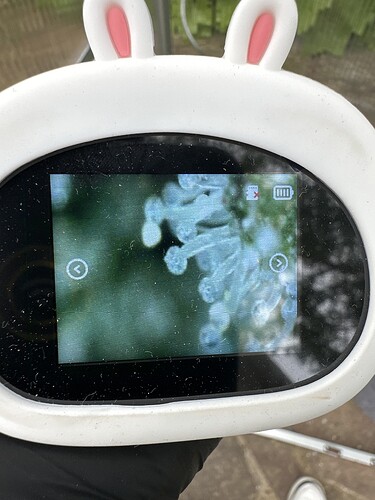 Growreport Bild 40