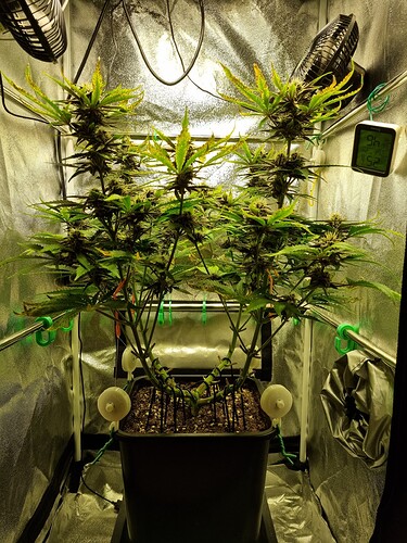 Growreport Bild 5