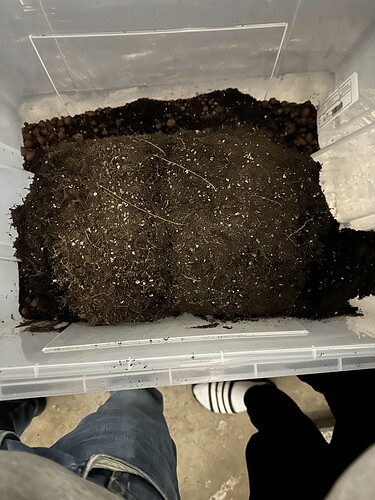 Growreport Bild 23