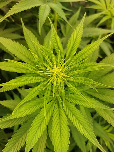 Growreport Bild 2