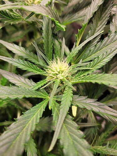 Growreport Bild 4