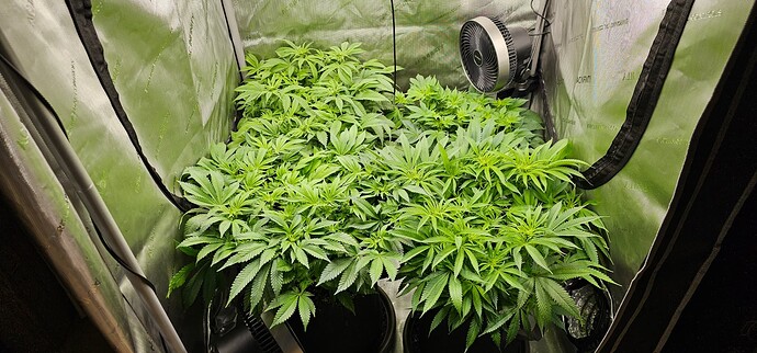 Growreport Bild 24