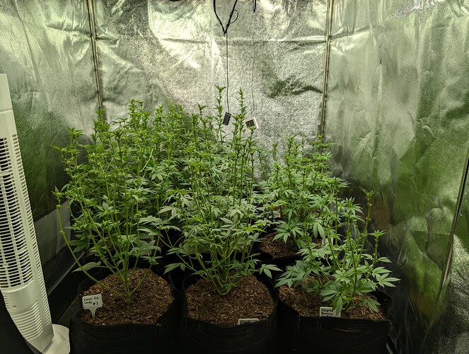 Growreport Bild 5