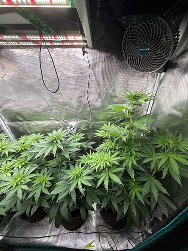 Growreport Bild 11