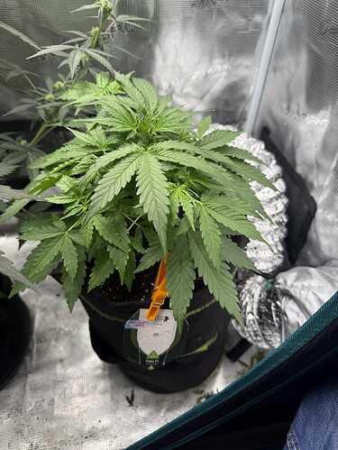 Growreport Bild 18