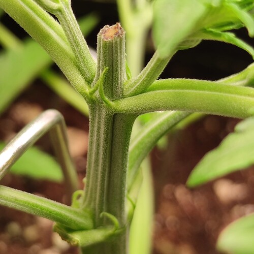 Growreport Bild 11