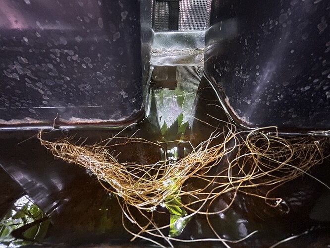 Growreport Bild 7