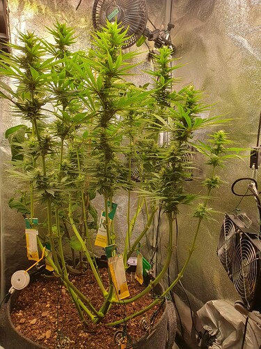 Growreport Bild 3
