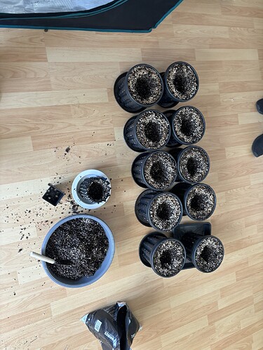 Growreport Bild 13