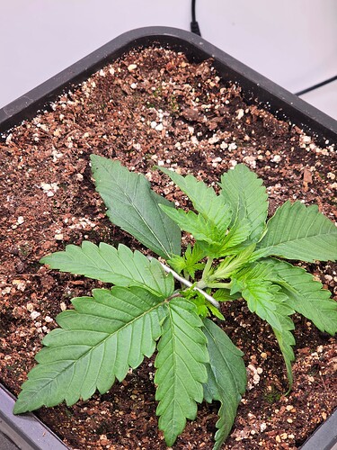 Growreport Bild 8