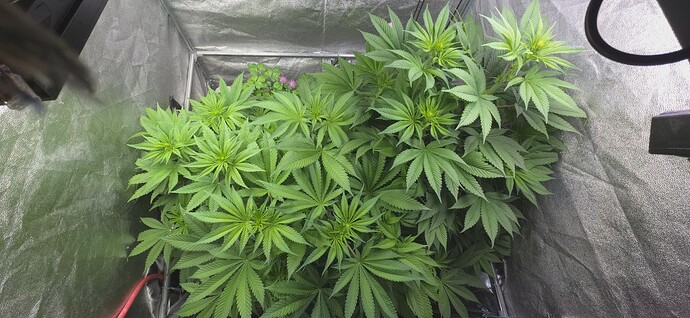 Growreport Bild 8