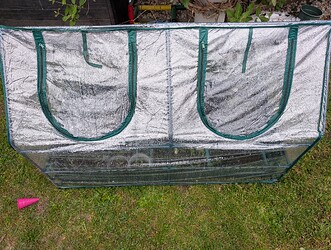 PXL_20250416_164105864