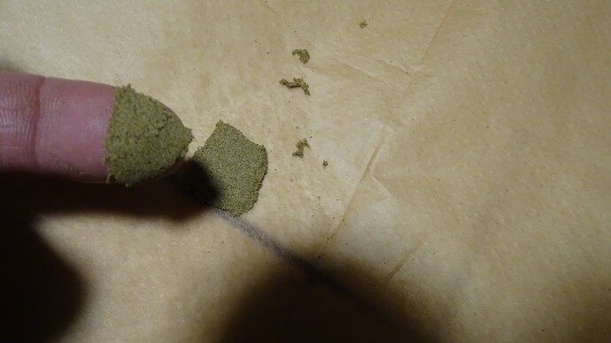 Growreport Bild 41