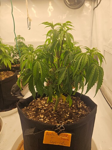 Growreport Bild 14