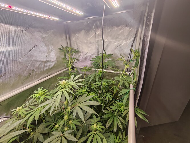 Growreport Bild 8
