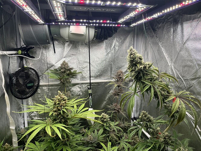 Growreport Bild 13