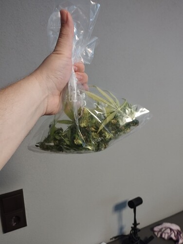 Growreport Bild 25