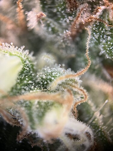 Growreport Bild 22
