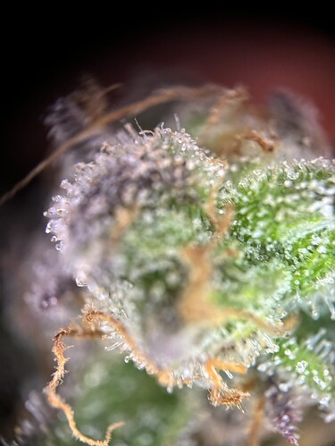 Growreport Bild 23