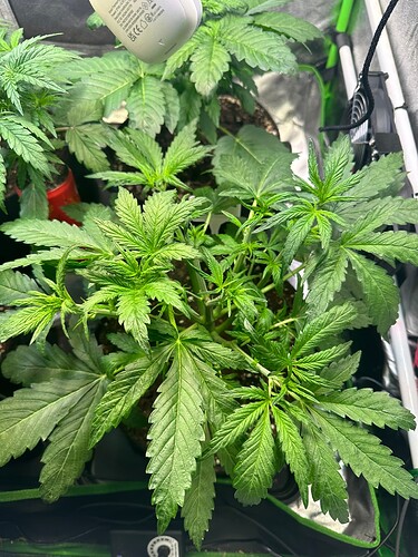 Growreport Bild 24