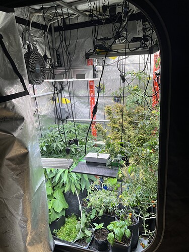 Growreport Bild 5