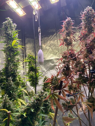 Growreport Bild 16