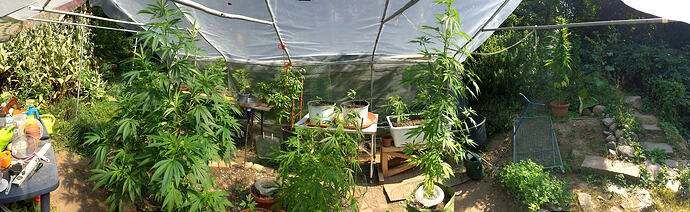 Grow26_0730_01