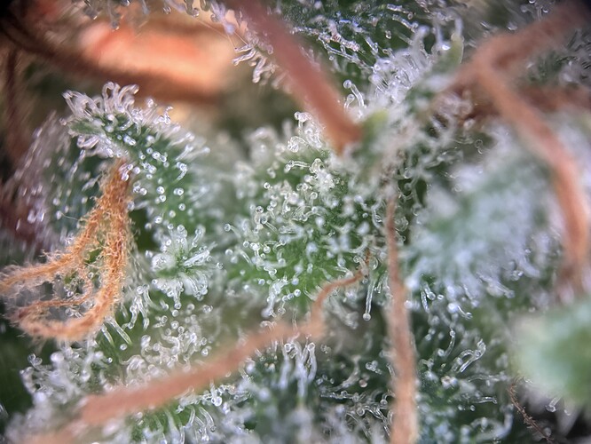 Growreport Bild 14