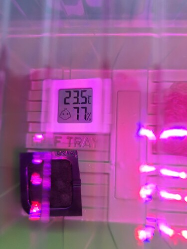 Growreport Bild 5