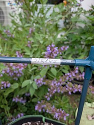 PXL_20250530_101558895