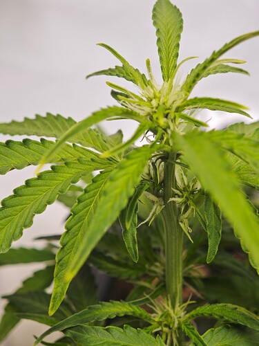 MVIMG_20251017_162210