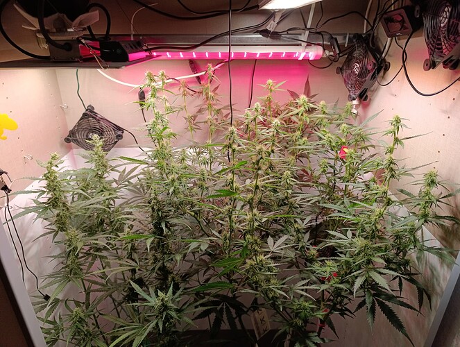 Growreport Bild 13