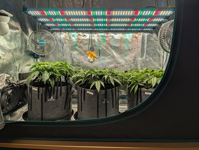 Growreport Bild 6
