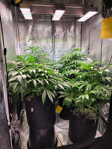 Growreport Bild 2