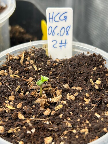 Growreport Bild 24