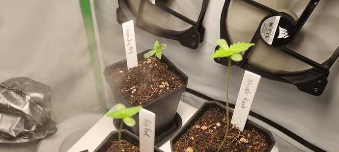 WhatsApp Image 2024-04-28 at 18.51.13(1)